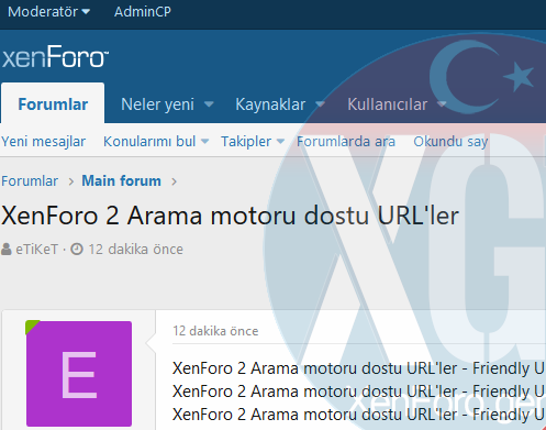 XenForo 2 Arama motoru dostu URL'ler - Friendly URL.png