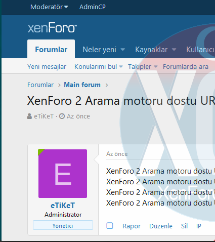 XenForo 2 Arama motoru dostu URL'ler - Friendly URLs.png